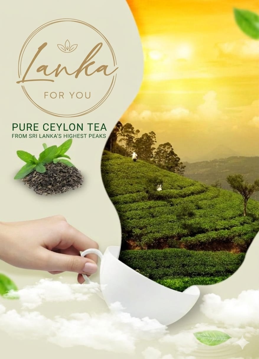 Ceylon Tea Estate
